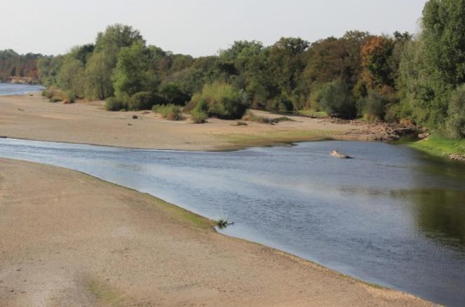 La Chaumiere De L'Eau Sauvage Hotell Villeneuve-sur-Allier Eksteriør bilde